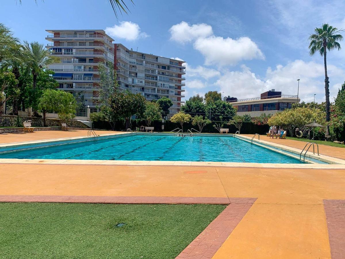 Appartamento Precioso Y Acogedor Apto Con Ubicacion Inmejorable Alicante